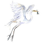 An image of a watercolor painting showing a New Jersey crane
